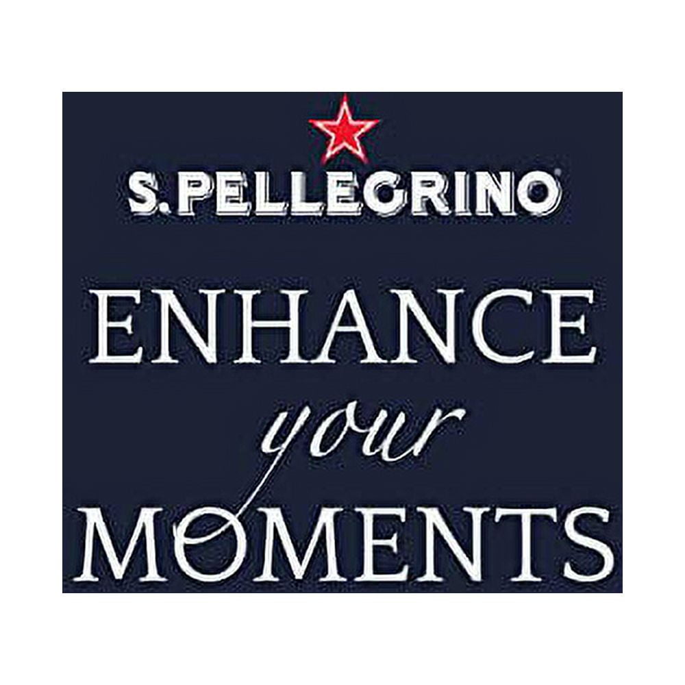 S.Pellegrino Sparkling Natural Mineral Water, 16.9 fl oz. (24 Pack)