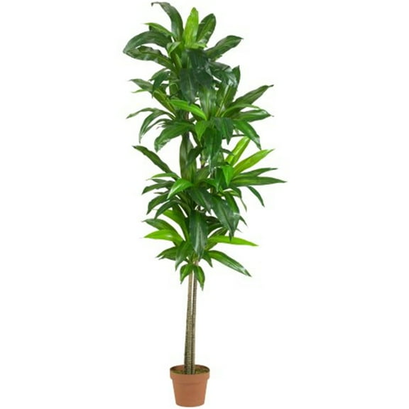 Nearly Natural 6' Dracaena Artificial Plant (Real Touch), Green