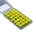 thumbnail image 3 of Accesorios de micropaisaje,mechones de hierba tupida planta en miniatura materiales de bricolaje,tren ferrocarriles mesa de arena micropaisaje paisaje,modelo de arquitectura suministros escena, 3 of 8