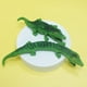 thumbnail image 4 of Juguete de cocodrilo elástico YONGSHENG para aliviar el estrés, 4 of 4
