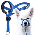 thumbnail image 1 of azul (M)Bozal para perro, actualizado más cómodo Prevenir mordeduras Ladridos Beking Entrenamiento de comportamiento Cubierta bucal de nailon reflectante de ajuste suave ajustable Rojo Verde, 1 of 5