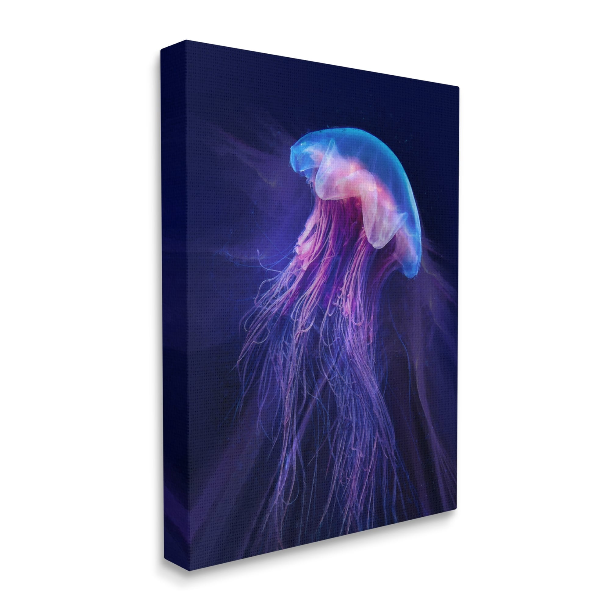 Stupell Industries Vivid Purple Jellyfish Swimming Ocean Sea Life Canvas Wall Art, 30 x 40, Design by Steve Hunziker