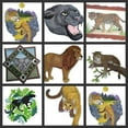 thumbnail image 3 of Cougar (Mountain Lion) Embroidered Iron on/Sew Patch [5.93"4.82"], 3 of 3