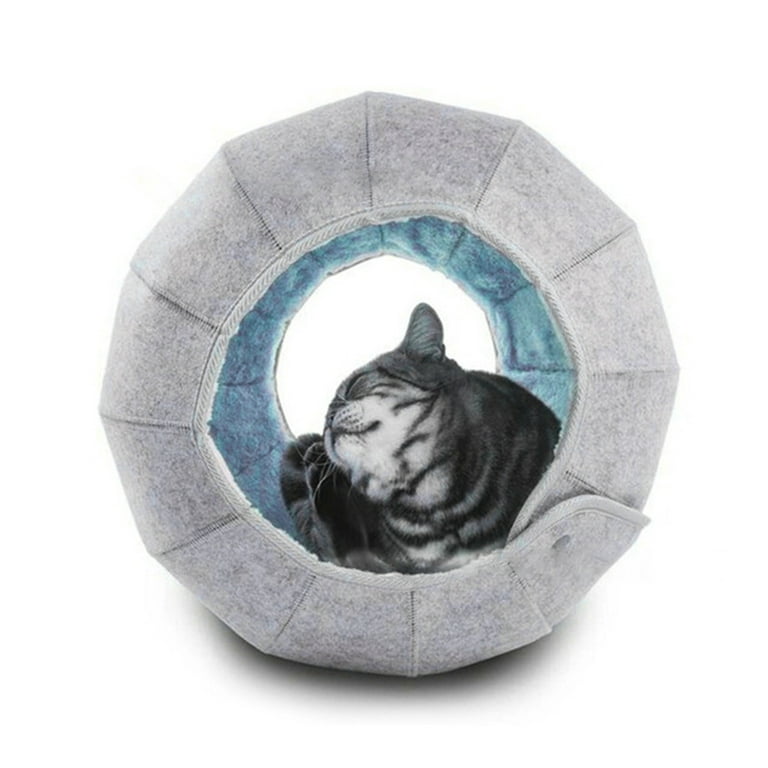House cat best sale toys