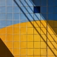 thumbnail image 2 of van Maastricht, Henk 20x20 Black Ornate Wood Framed with Double Matting Museum Art Print Titled - Square Shadow, 2 of 4