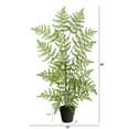 thumbnail image 2 of Nearly Natural 2.5ft. Ruffle Fern Artificial Tree, 2 of 4