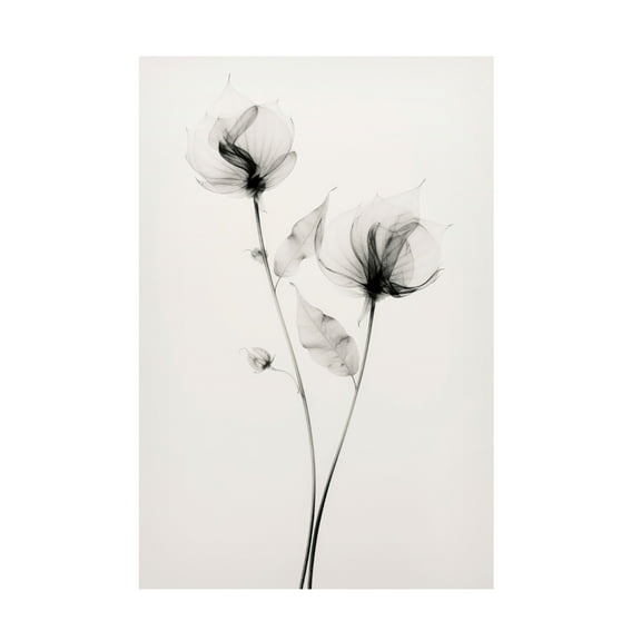 Trademark Fine Art Treechild Transparent Botanic No 7 Canvas Wall Art