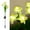 Yellow, variant on TERGAYEE Solar Garden Lights Outdoor,Solar Garden Lights with Daffodil Flowers Solar Garden Stake Lights for Garden Patio Yard Pathway Decoration