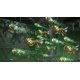 thumbnail image 5 of Videojuego NIS America R-Type Tactics I y II Cosmos PS4, 5 of 7