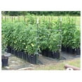 View all media