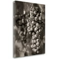 thumbnail image 1 of Grapes - 24' Graphic Art Print on Wrapped Canvas, 1 of 2