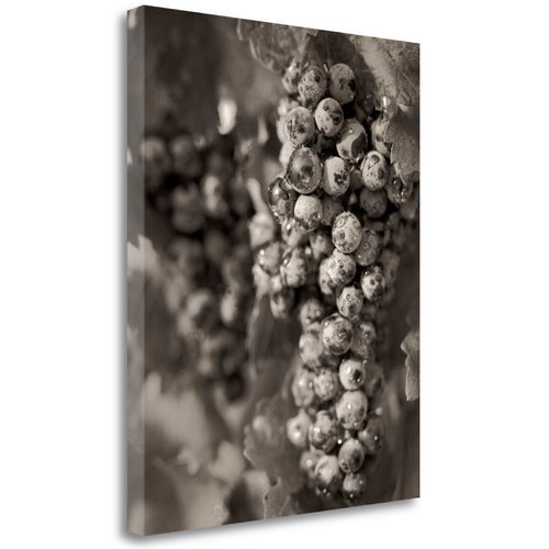 Grapes - 24' Graphic Art Print on Wrapped Canvas
