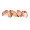 thumbnail image 1 of Grey Highlight  Piece, Curling  Gradient Color    Highlights Hair Extension Red Curly   For Women For Daily For Party Gray,Orange Pink,Blue,Green, 1 of 8