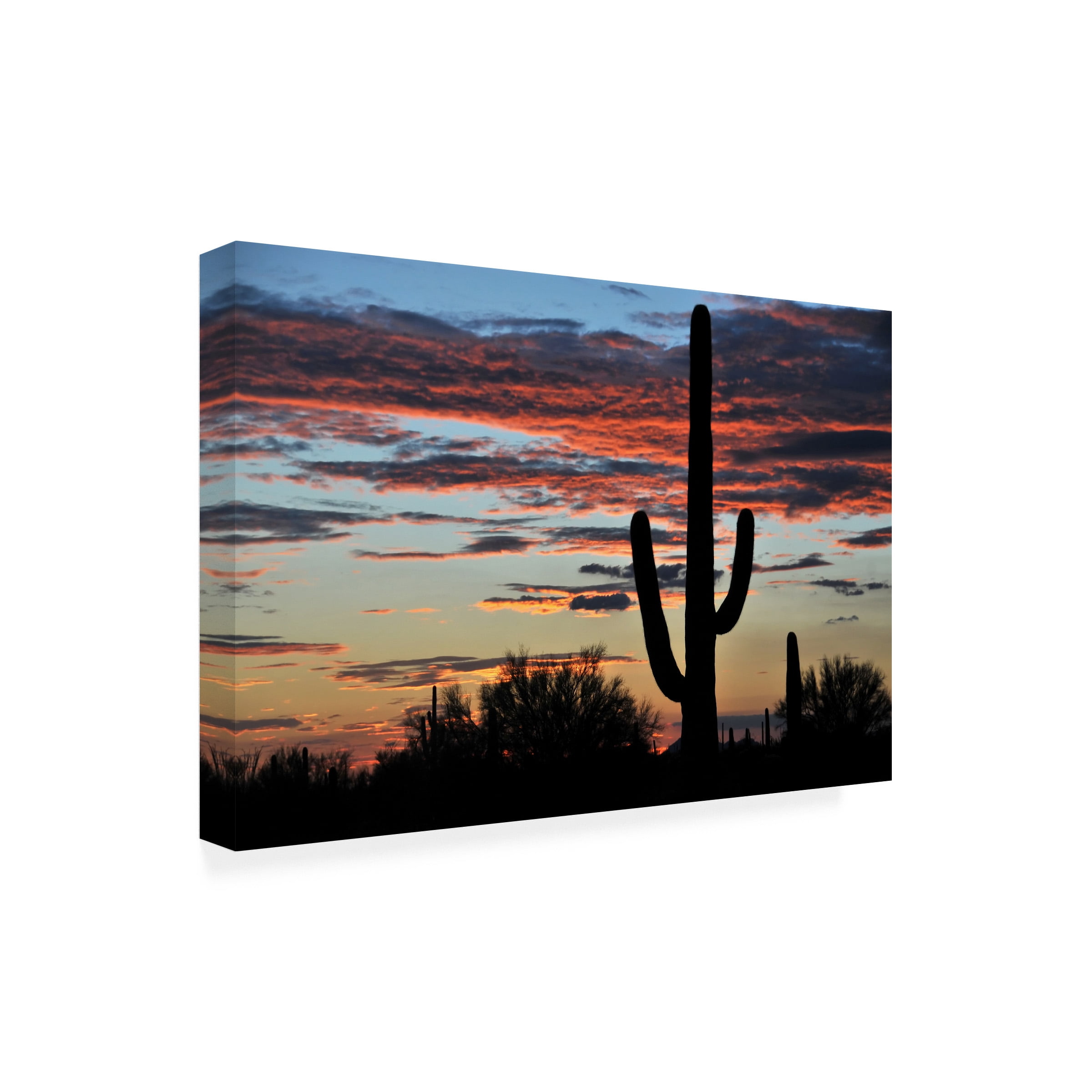 Philippe Sainte-Laudy 'Hands Off' Outdoor Canvas