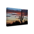 thumbnail image 2 of Philippe Sainte-Laudy 'Hands Off' Outdoor Canvas, 2 of 3
