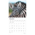 thumbnail image 6 of Baby Animals 2025 12 X 24 Inch Monthly Square Wall Calendar, 6 of 9