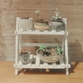 2 Tier Wood Storage Shelf Desktop Wooden Rack Plant Pot Flower Basket