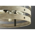 thumbnail image 5 of Progress Lighting Gulliver 3-Light Semi-Flush Convertible Ceiling Light, Graphite, Wood Grained Texture, 5 of 7