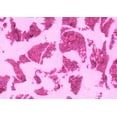 thumbnail image 1 of Ahgly Company Indoor Rectangle Abstract Pink Modern Area Rugs, 4' x 6', 1 of 4