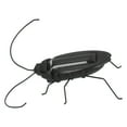 thumbnail image 3 of Cockroaches Model, Solar Powered Insect Toys Kidding For Children For Party For Halloween ANGGREK Otros, 3 of 8