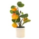 thumbnail image 1 of Plantas en maceta artificiales creativas de la planta verde de simulación de la decoración del hogar de los bonsais de la fruta, 1 of 5
