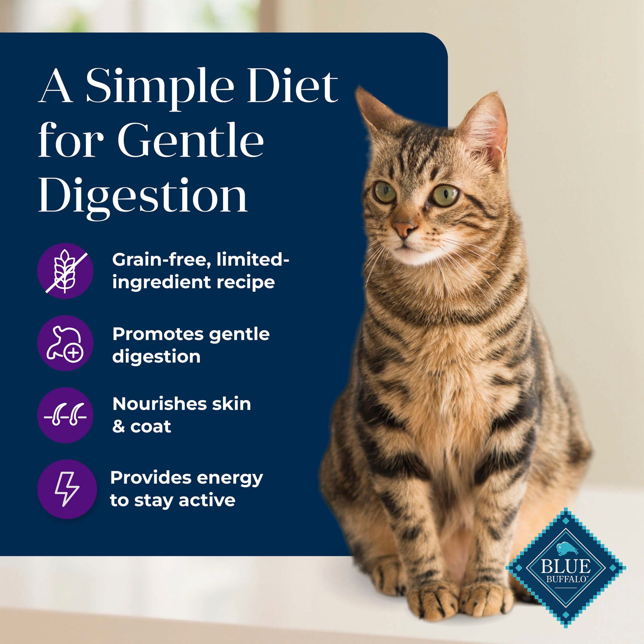 Blue Buffalo Basics Dry Cat Food Skin & Stomach, Turkey & Potato, Chicken Free, 11lb Bag