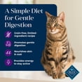 thumbnail image 5 of Blue Buffalo Basics Dry Cat Food Skin & Stomach, Turkey & Potato, Chicken Free, 11lb Bag, 5 of 13