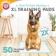thumbnail image 2 of Almohadillas de Entrenamiento Arm & Hammer para Perros de Té Verde 50 Unidades, 2 of 7