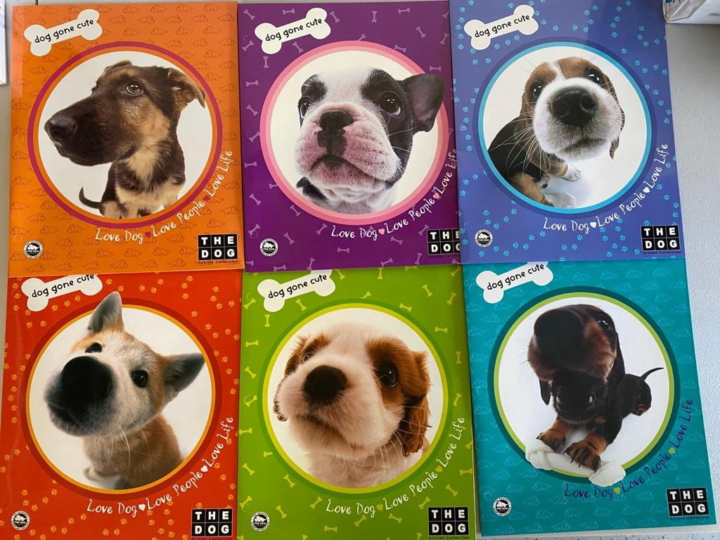 The Dog Artist Collection Set of 6 Portfolio Folders with Pockets