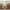 Antique Ivory/Gold, variant on Newbridge Valencia Two Tone Bordered Damask Fabric Tablecloth, Wrinkle and Stain Resistant Fine Dining Holiday Hotel Quality Tablecloth, 52 Inch x 52 Inch Square, White/Silver