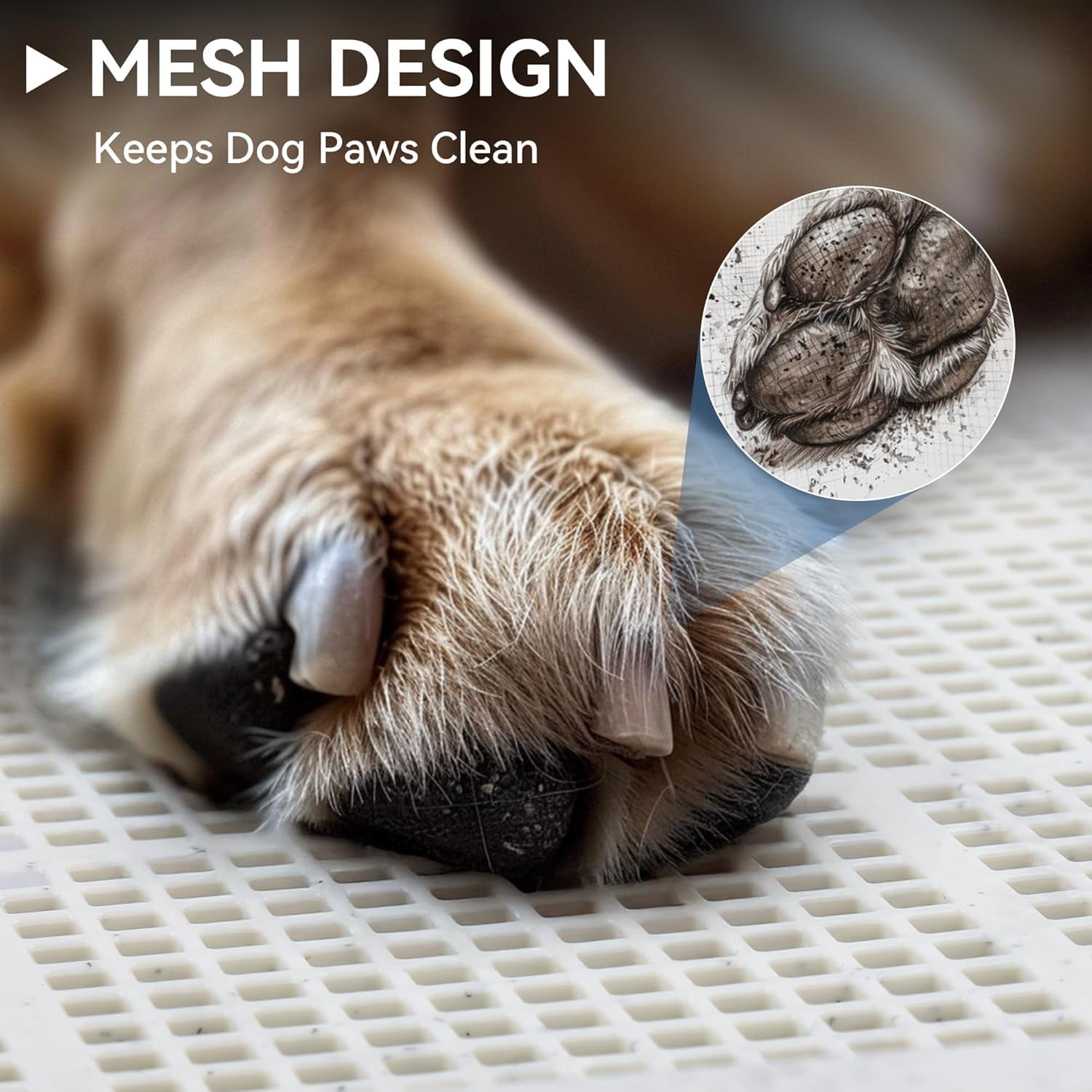 Male Dog Pee Pad Holder with High Wall, 23.5"x23.5" Indoor Potty Tray for Medium/Large Dogs, Reusable Large Training Pad Holder with Splash Guard, Includes 4 Pee Pads, Anti-Slip & Easy to Clean