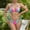 Light Blue, variant on HOMBOM Womens Swimsuit 2 Piece High Waisted Triangle Top Bikini Athletic Pink Bathing Suits for Ladies