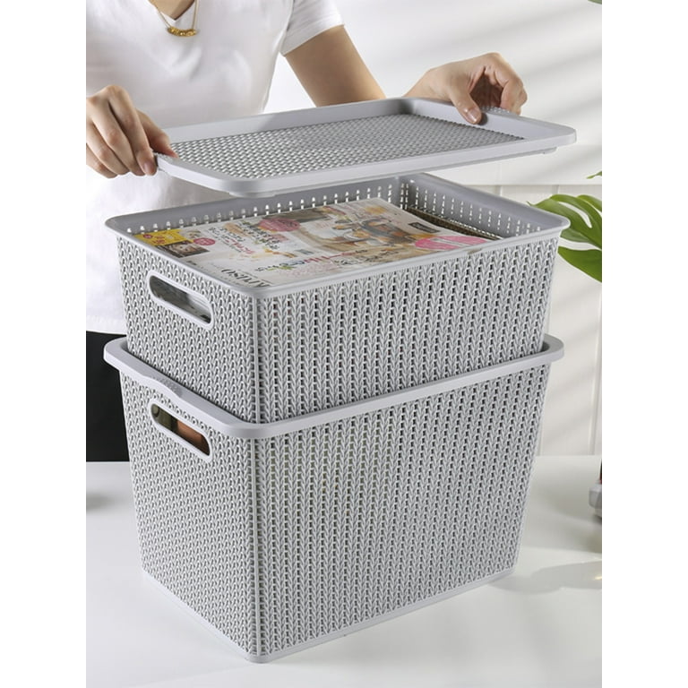 Rattan Basket Plastic Storage Baskets for Organizing Container