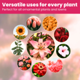 thumbnail image 6 of Biogrowth Organics Vivid Plant Food & Bloom Supplement (8.45oz), Enzyme-Based Flower & Fruit Booster with Organic Nutrients, Plant Vitamin for Fruits, Indoor & Outdoor Plants, 6 of 10