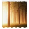 thumbnail image 3 of Ambesonne Forest Shower Curtain, Foggy Woodland, 69"Wx75"L, Tan, 3 of 5