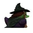 thumbnail image 4 of Figura Coleccionable Tubbz Numskull Elphaba 4 pulgadas, 4 of 4