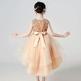 thumbnail image 2 of Girl Sequin Tulle Wedding Party Dress Bridesmaid Birthday Pageant Ball Gown, 2 of 7