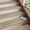 Beige, variant on Stair-Treads Non Slip 15PCS, Stair Treads for Wooden Steps Rubber Backing Indoor, Carpet Stair Treads Residue Free, Stair Runner Durable Stair-Carpet Treads for Kids and Dogs 8"x30" Black