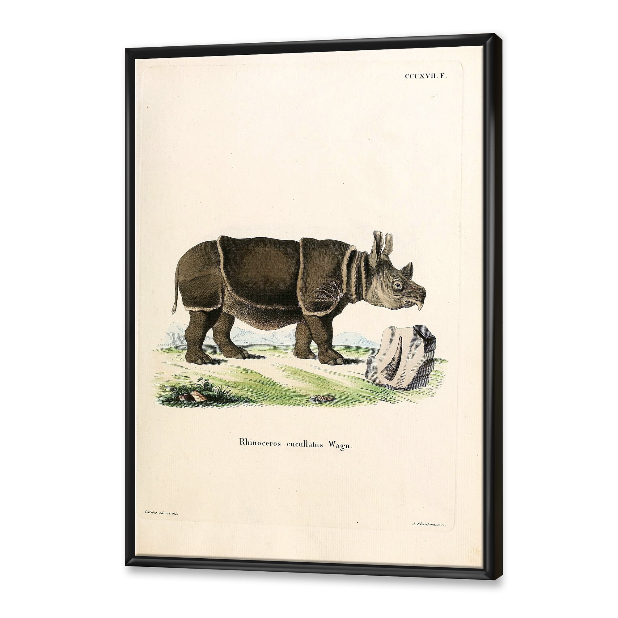 Designart 'Ancient Rhinoceros' Farmhouse Framed Canvas Wall Art Print