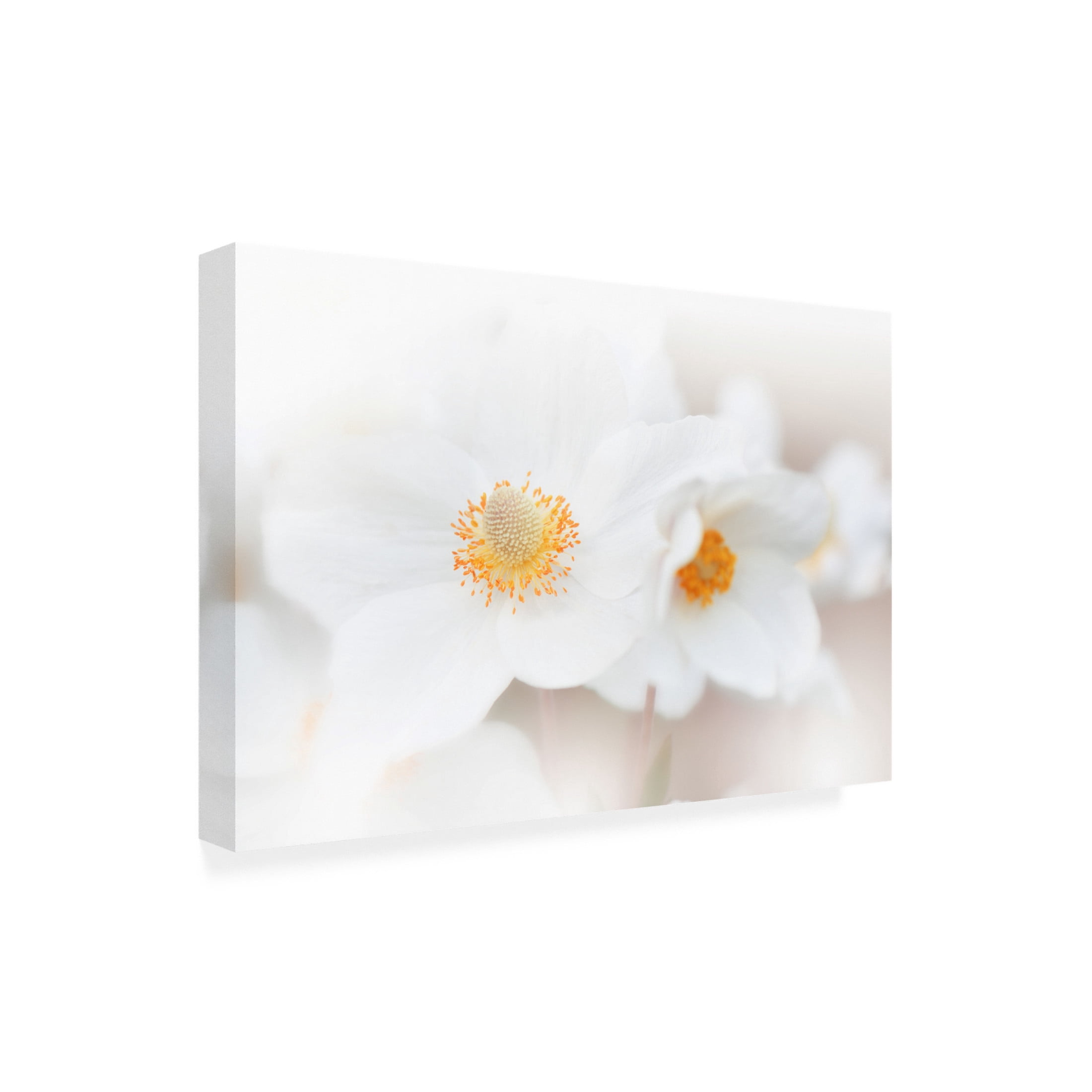 Trademark Fine Art Juliana Nan Her Name Is Loveiii Canvas Wall Art