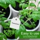 thumbnail image 1 of 200 Uds. Etiquetas colgantes de plantas de PVC etiquetas impermeables para jardín de infancia 3,6x2,5 cm blanco ZefeiWu 8390614048898, 1 of 1