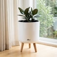 thumbnail image 2 of Algreen Modena 10.7" Self-Watering Planter with Stand, Gloss White, 2 of 7