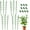 4 Pack, variant on 6 Packs 18inch Plant Support Cages with 3 Adjustable Support Rings- Small Tomato Cage for Pots Plant Holder for Home Garden Balcony for Orchids, Tomato, Vegetables, Flowers, Climbing Plants