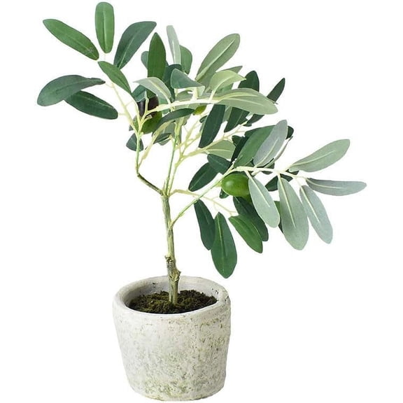 Artificial Olive Tree in , 12-Inch
