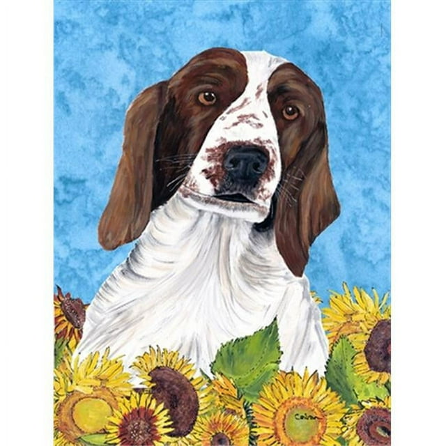 Carolines Treasures SC9078GF Welsh Springer Spaniel Drapeau - Taille Jardin