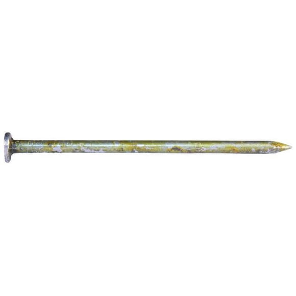 National Nail 5692629 3.12 in. 12D 1 lbs Sinker Nail