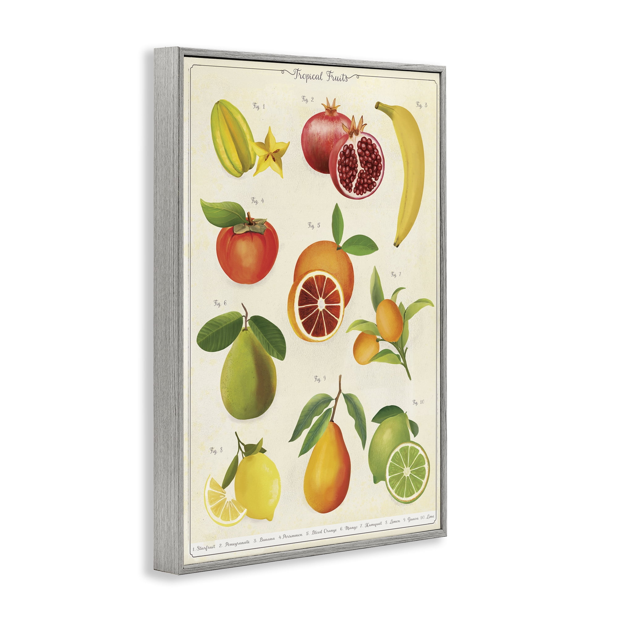 Stupell Industries Vintage Tropical Fruit Studies Gray Framed Giclee Art, design by Diane Neukirch