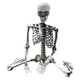 thumbnail image 1 of Halloween Skeleton Prop Life Size Posable Full Body Human Anatomy Model Outdoor Party Decoration Scary Display, 1 of 7