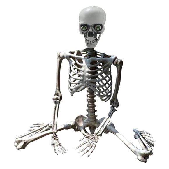 MOQIN 27.6" Halloween Skeleton Decorations, Halloween Posable Skeleton Plastic Realistic Human Full Body Bones for Halloween Party Decor, Indoor Outdoor Decoration