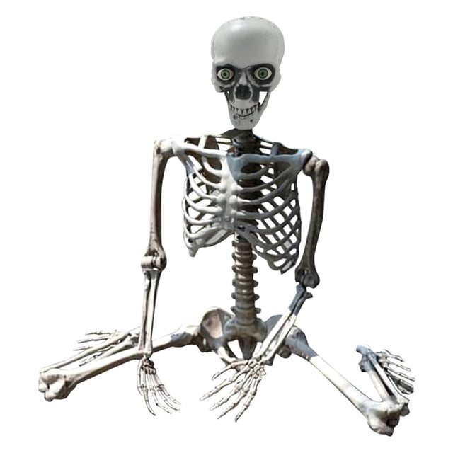 Halloween Skeleton Prop Life Size Posable Full Body Human Anatomy Model Outdoor Party Decoration Scary Display